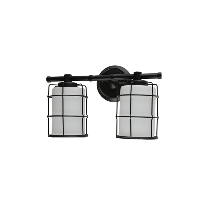 Albany Collection 2-Light Wall Luminaire