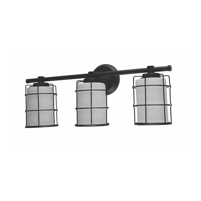 Albany Collection 3-Light Wall Luminaire