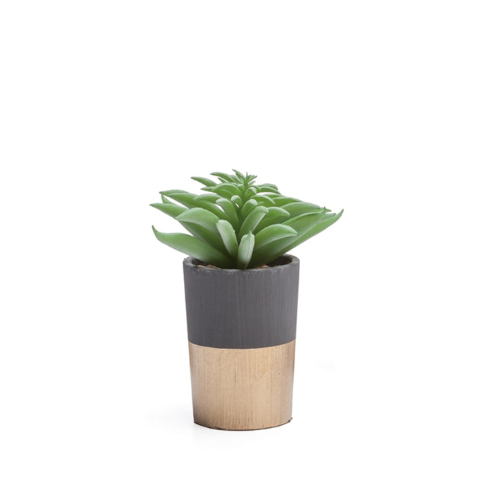 Artificial plant in cement and gold pot 2'' D X 3'' H
