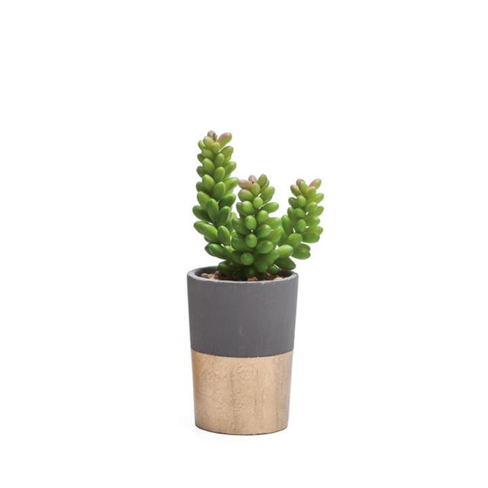 Artificial plant in cement and gold pot 2'' D X 3'' H