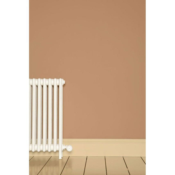 Ointment Pink No. 21 Farrow & Ball paint