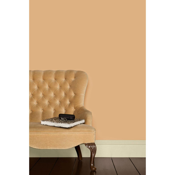 Dutch Pink No. 62 Farrow & Ball paint