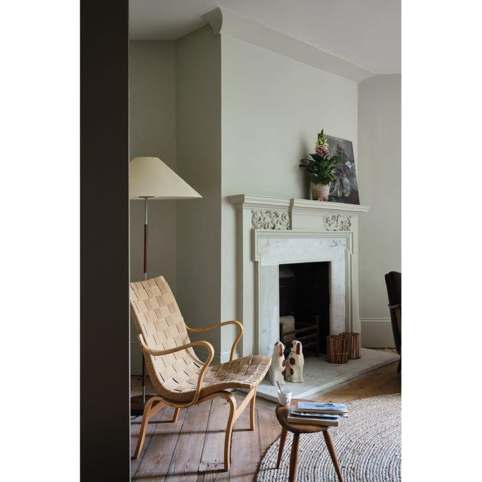 Ash Grey No. W9 Farrow & Ball paint
