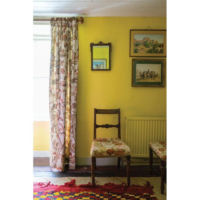 Babouche No. 223 Farrow & Ball paint