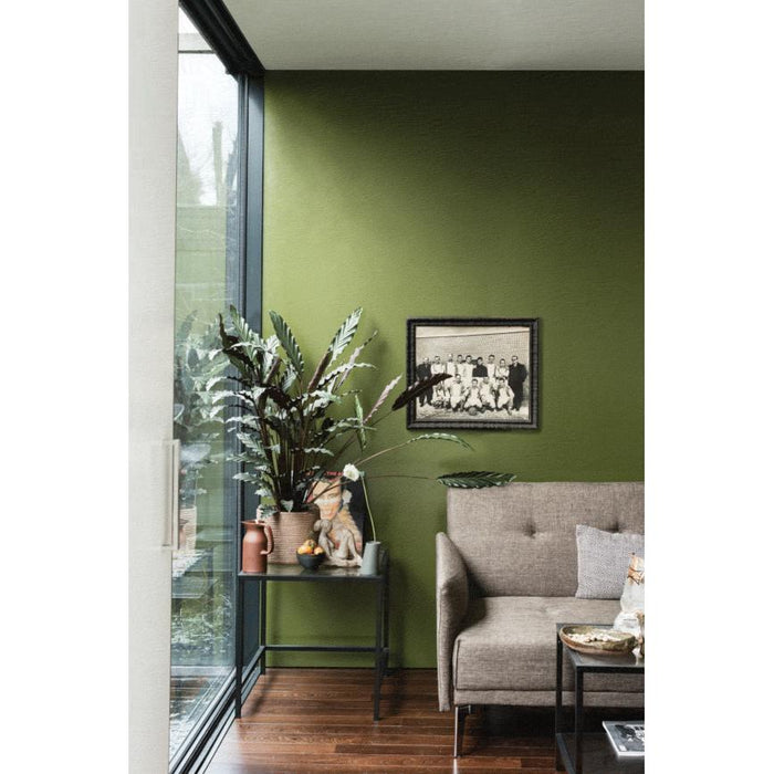 Bancha No. 298 Farrow & Ball paint