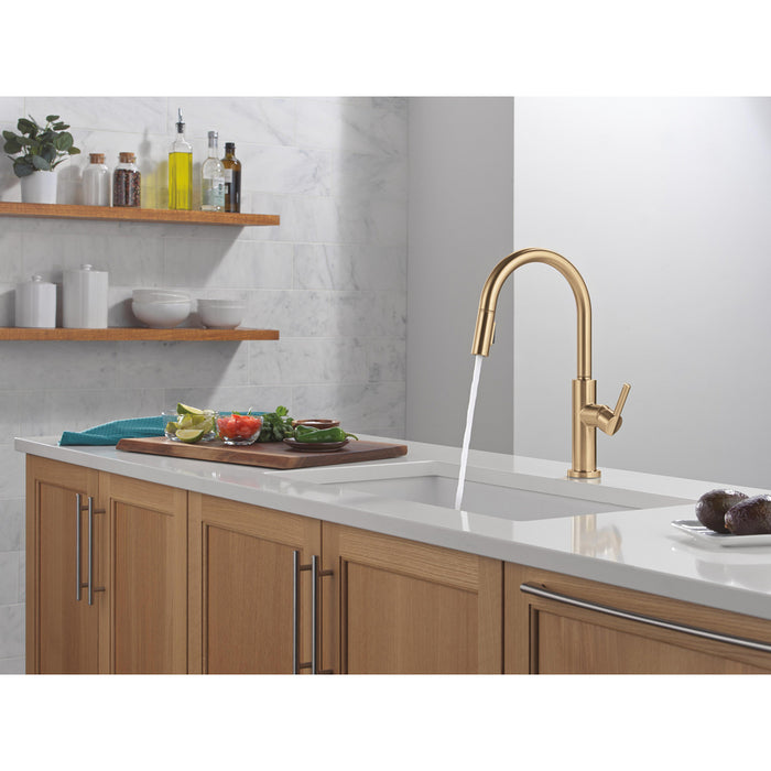 Nicoli Collection Single-Hole Pull-Down Kitchen Faucet