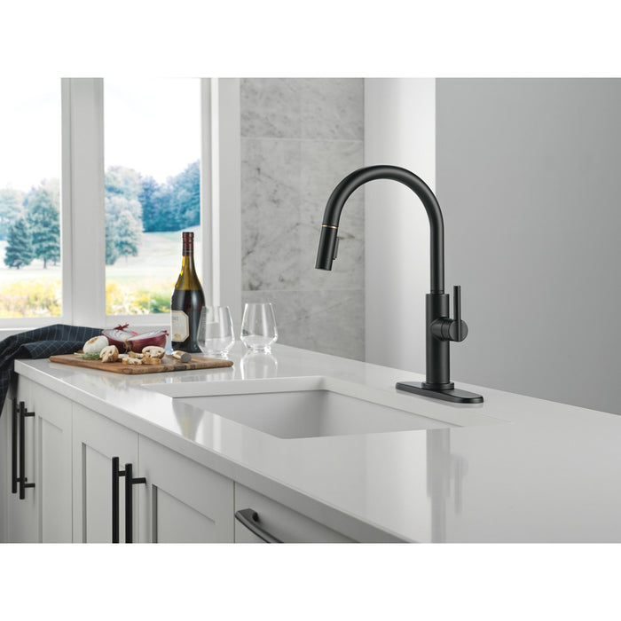 Nicoli Collection Single-Hole Pull-Down Kitchen Faucet