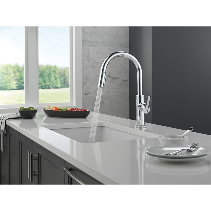 Nicoli Collection Single-Hole Pull-Down Kitchen Faucet