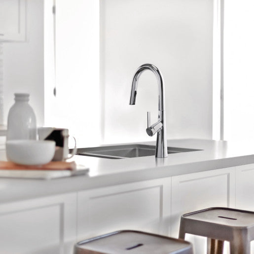 Kitchen faucet with pull-out spray Ludik collection