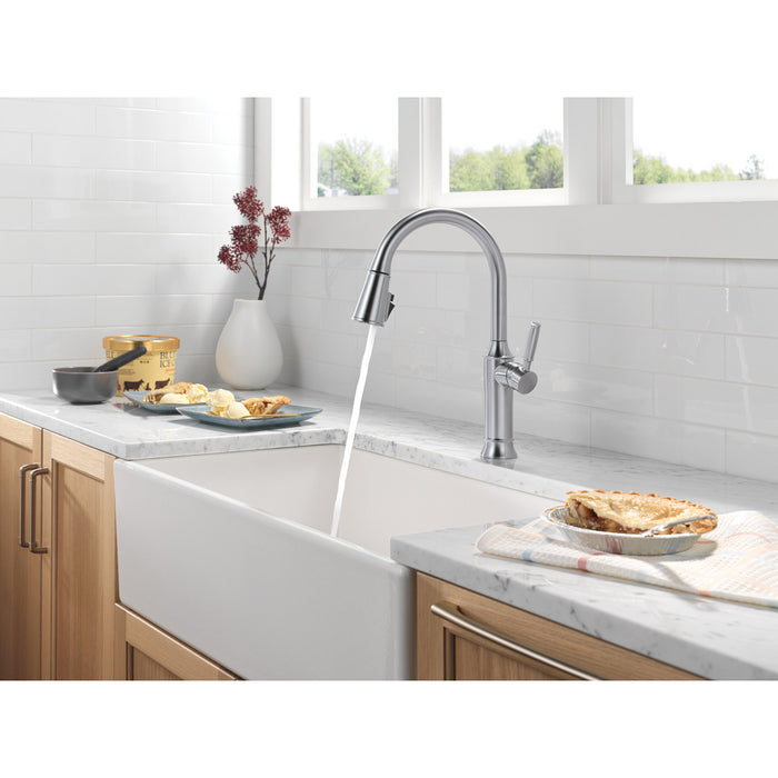  Renaldi Collection Pull-Down Kitchen Faucet