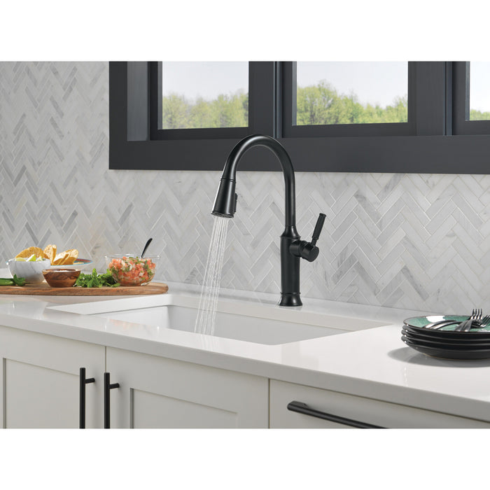  Renaldi Collection Pull-Down Kitchen Faucet