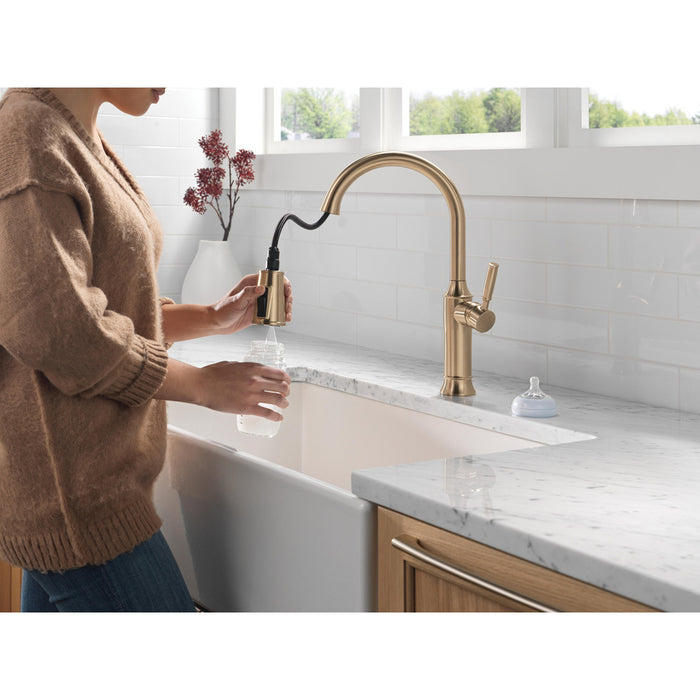  Renaldi Collection Pull-Down Kitchen Faucet