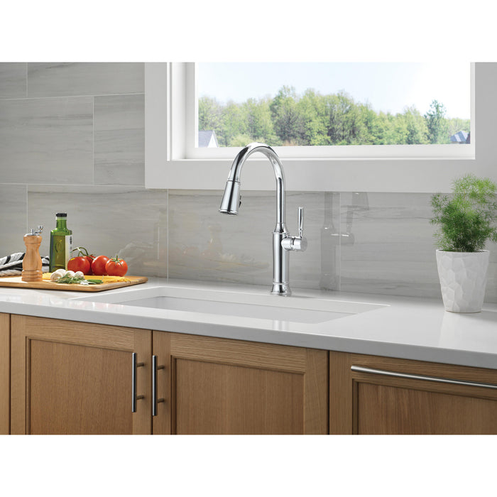  Renaldi Collection Pull-Down Kitchen Faucet