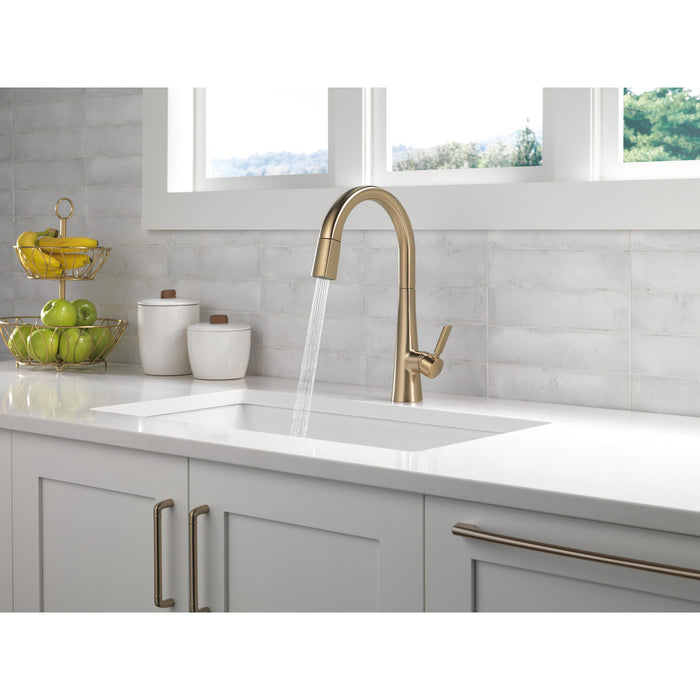 Monrovia Collection Pull-Down Kitchen Faucet