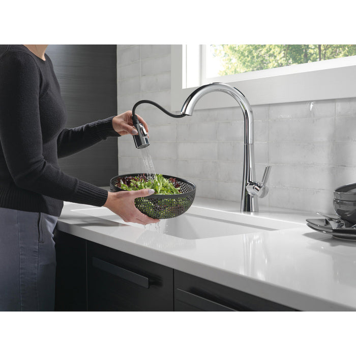 Monrovia Collection Pull-Down Kitchen Faucet