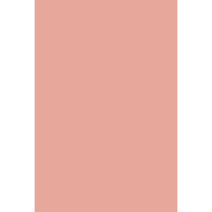 Blooth Pink No. 9806 Farrow & Ball paint