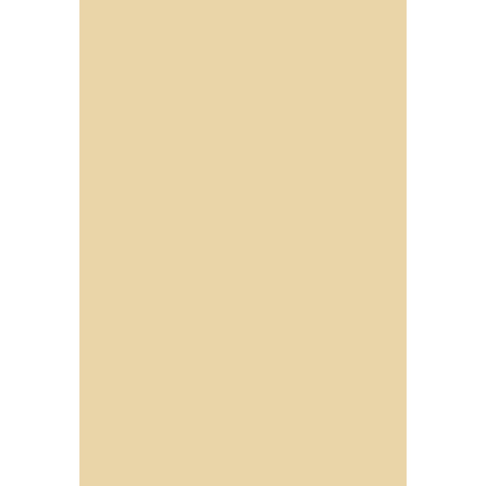 Bombazine No. 9902 peinture Farrow & Ball