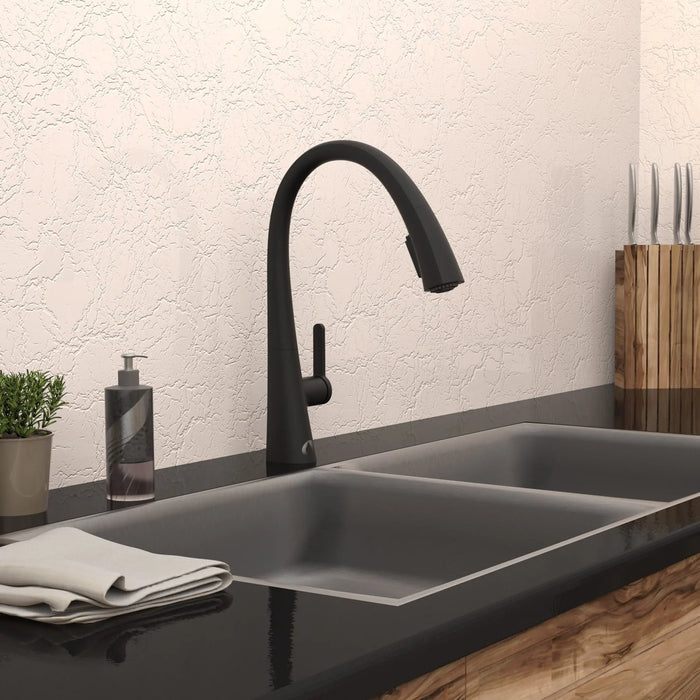 Robinet de cuisine bec pivotant et douchette amovible