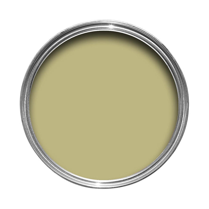 Churlish Green No. 251 peinture Farrow & Ball