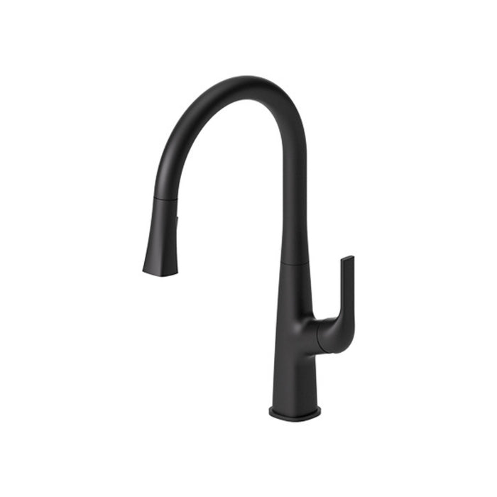 Felicia collection kitchen faucet with retractable hand shower