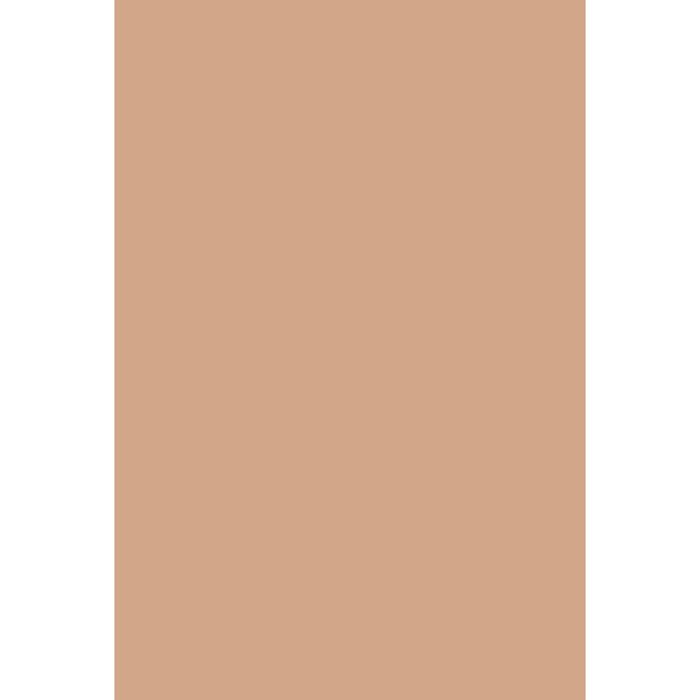 Fake Tan No. 9912 Farrow & Ball paint
