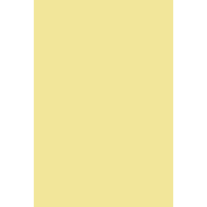 Hound Lemon No. 2 peinture Farrow & Ball