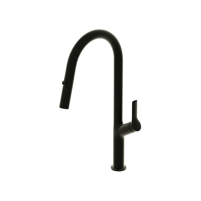 Lotus Collection kitchen faucet with retractable hand shower