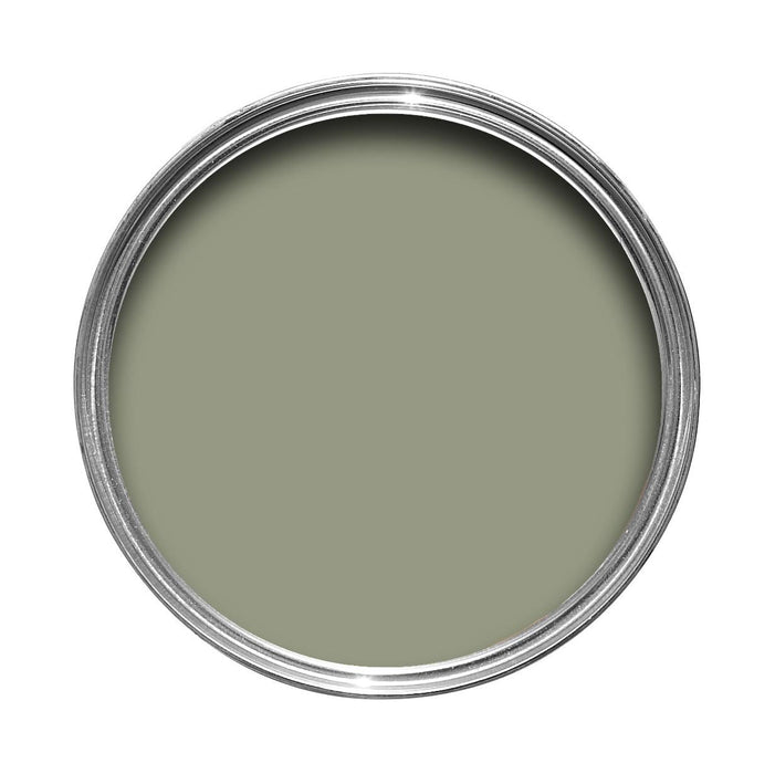 Lichen No. 19 Farrow & Ball paint