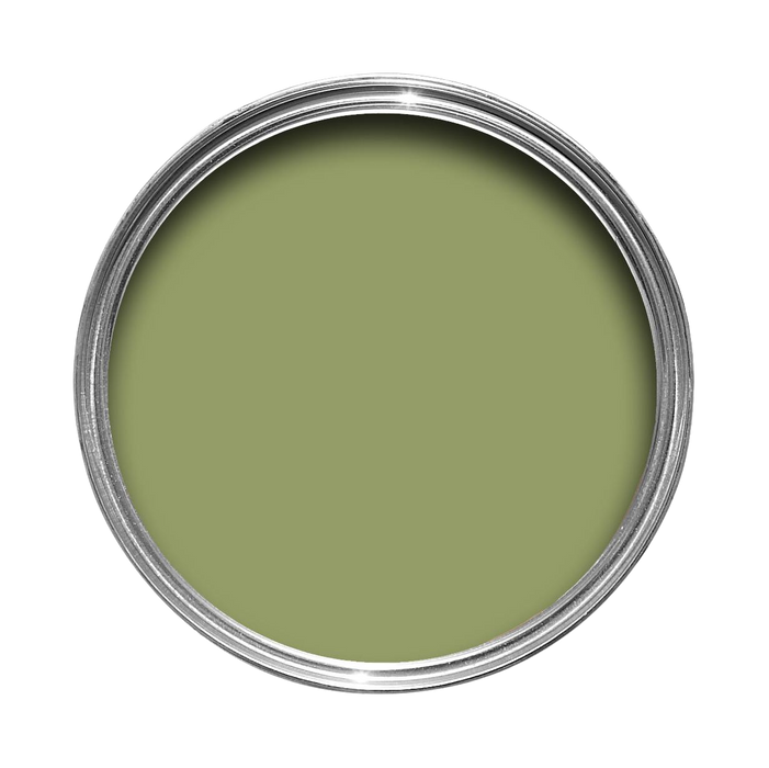 Olive No. 13 Farrow & Ball paint