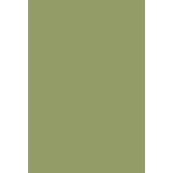 Olive No. 13 Farrow & Ball paint