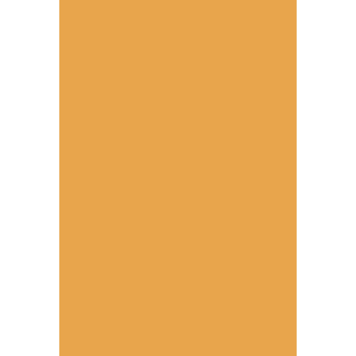 Orangery No. 70 peinture Farrow & Ball