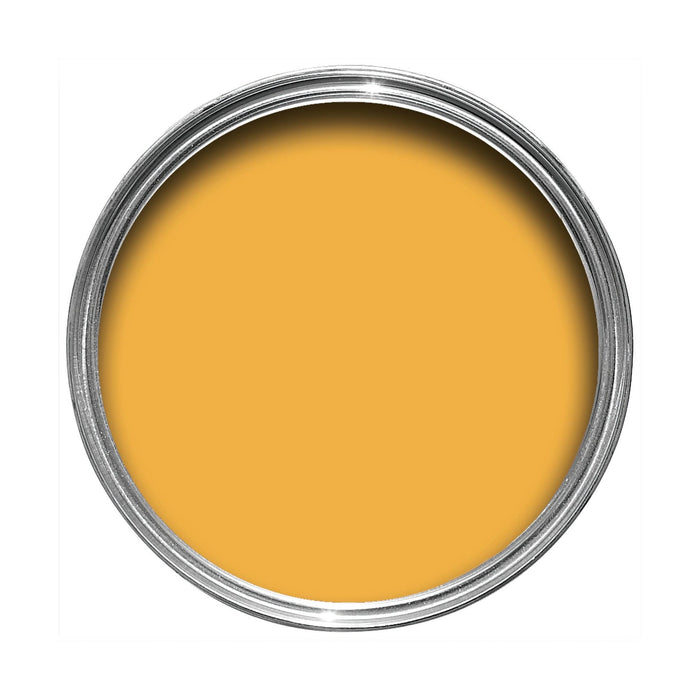 Dutch Orange No. W76 Farrow & Ball paint