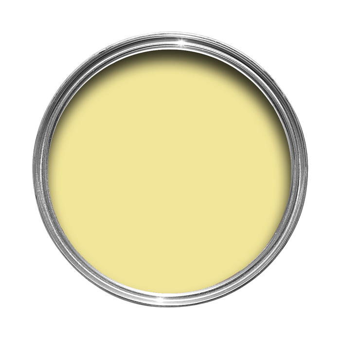 Hound Lemon No. 2 peinture Farrow & Ball