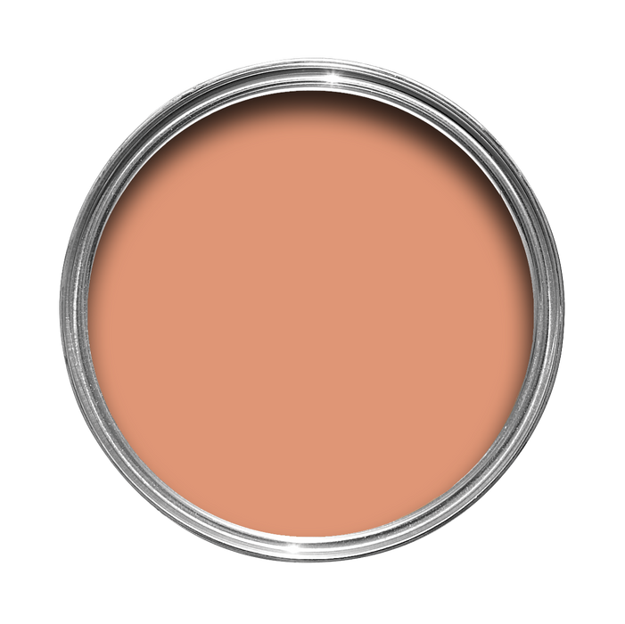 Ointment Pink No. 21 Farrow & Ball paint