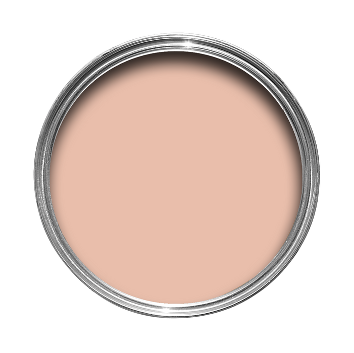 Pink Cup No. 9801 Farrow & Ball paint