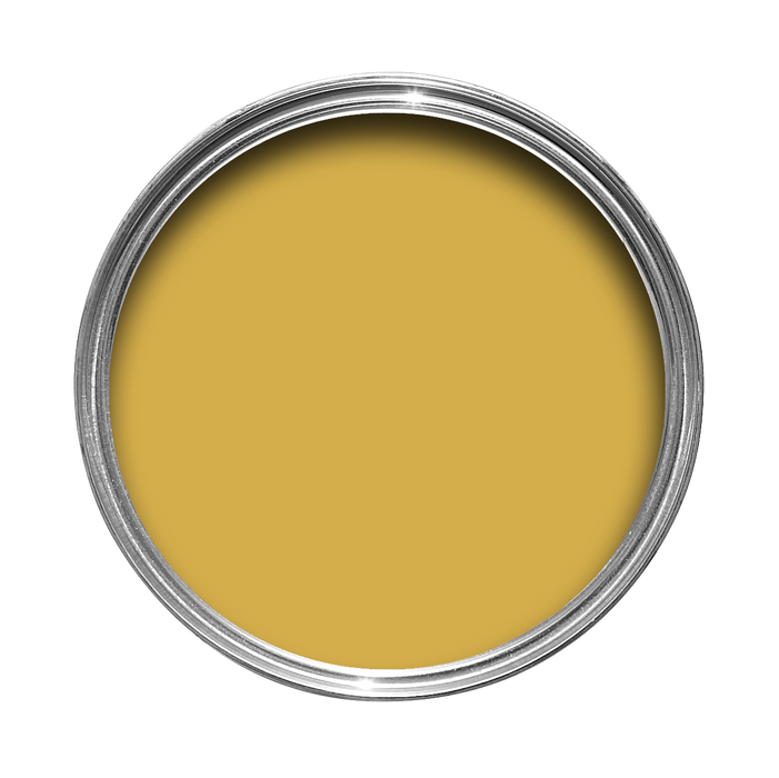 Print Room Yellow No. 69 peinture Farrow & Ball