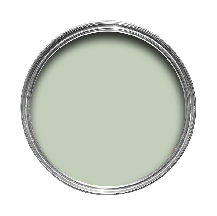 Palm No. CC4 Farrow & Ball paint
