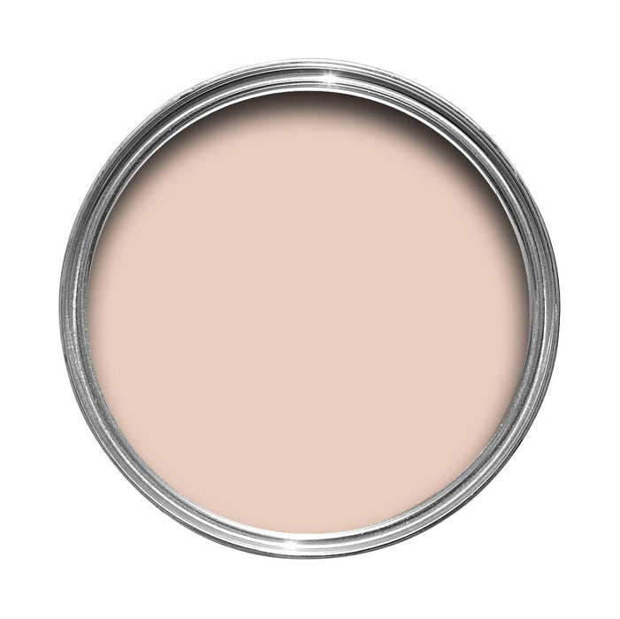 Pink Ground No. 202 Farrow & Ball paint