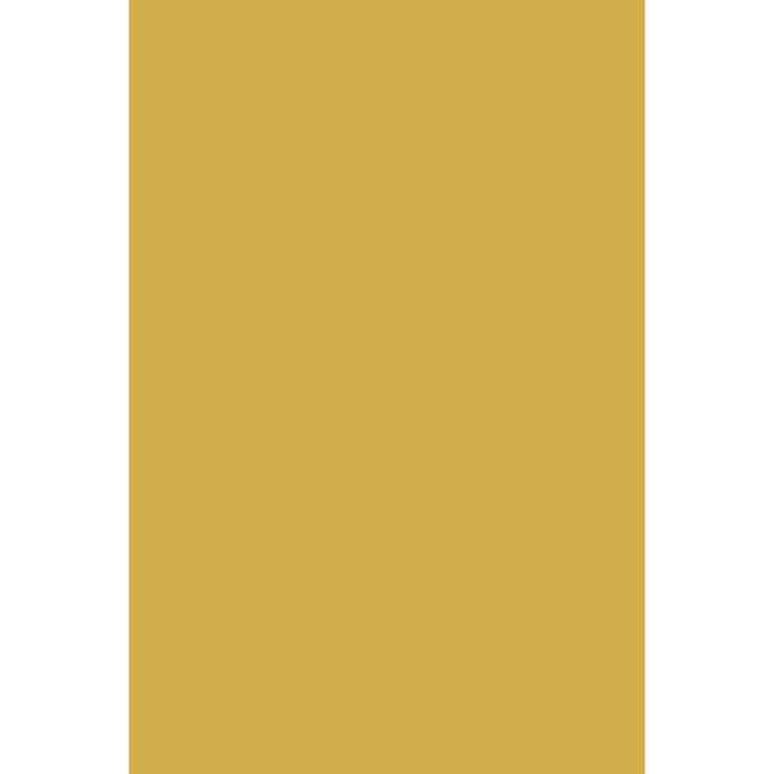 Print Room Yellow No. 69 peinture Farrow & Ball