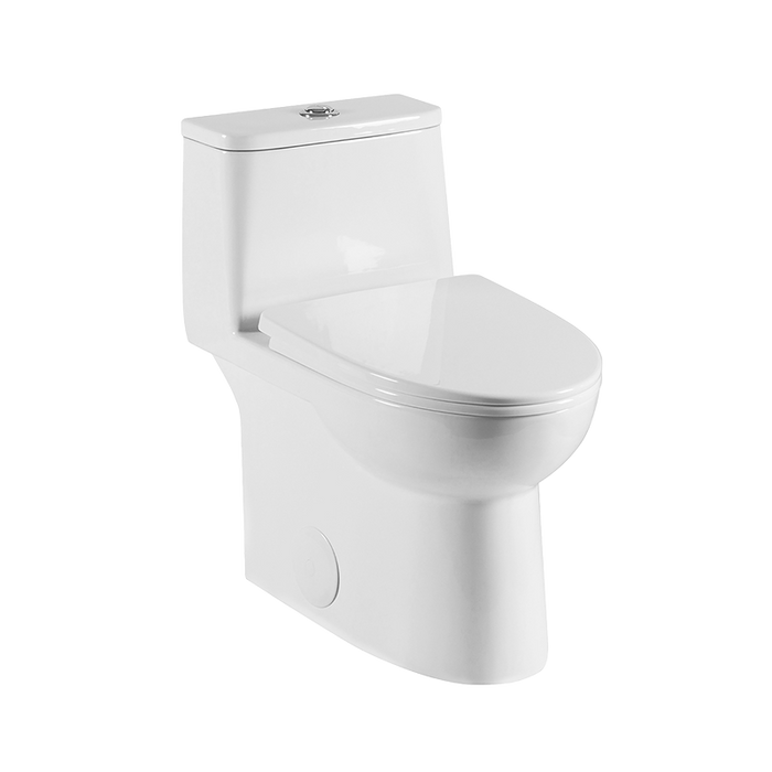 Toilette monopièce Rubi