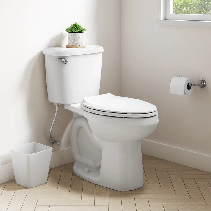 Colony Toilet