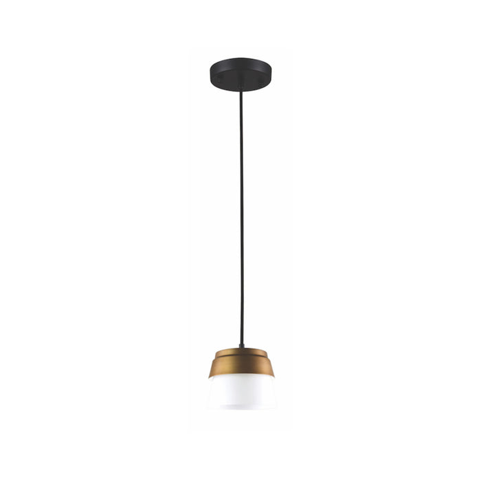 Canary Collection pendant light