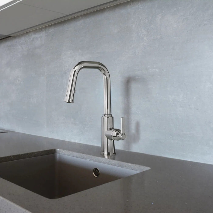 Trattoria kitchen faucet with hand shower