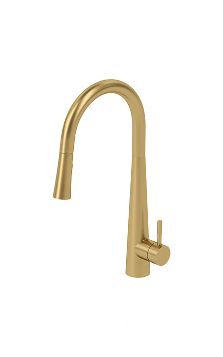 Kitchen faucet with hand shower Aviva Collection