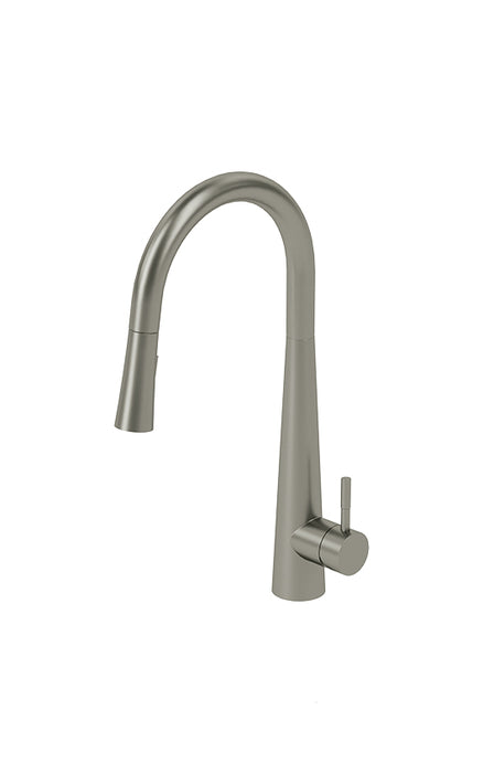 Kitchen faucet with hand shower Aviva Collection