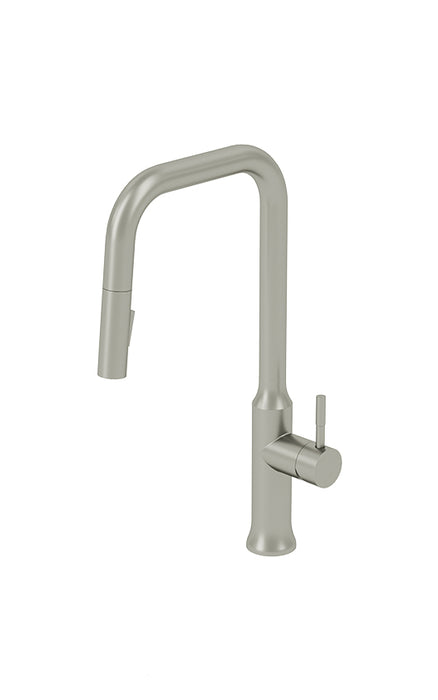 Kitchen faucet with hand shower Regia Collection